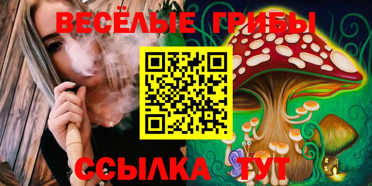 Галлюциногенные грибы Psilocybine cubensis Камышлов