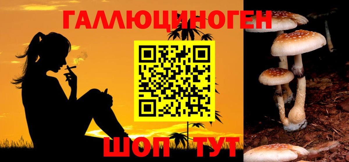 Камышлов  Галлюциногенные грибы мицелий  Псилоцибиновые грибы мухоморы  Вход с VPN 